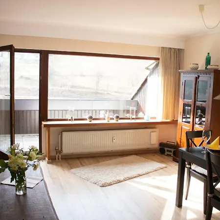 Appartement Am Schieferberg 27e Winterberg